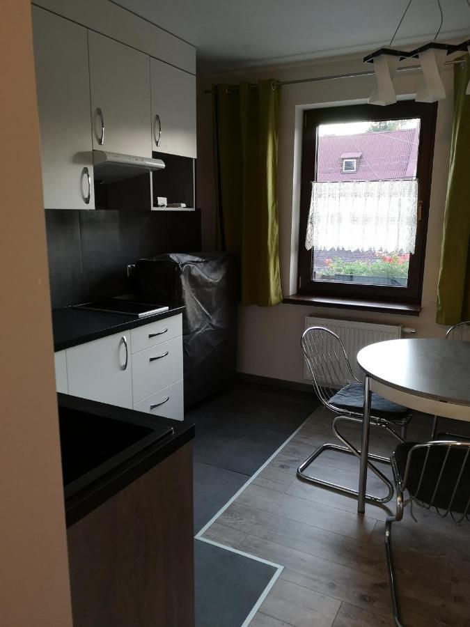 Apartamenty Jaskinia Solna Ruda Slaska Exterior photo